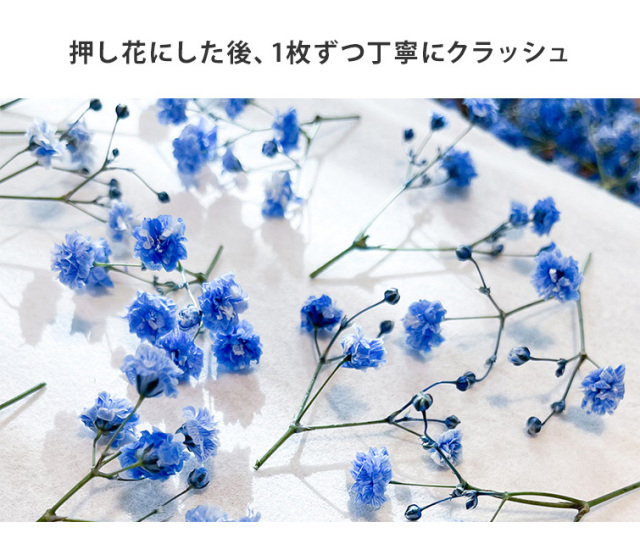 GRACE Dry Flowers クラッシュフラワー 全色セット