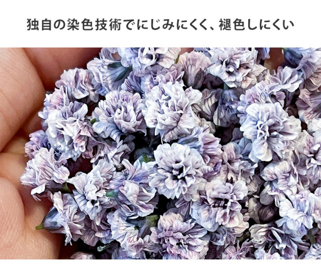 GRACE Dry Flowers クラッシュフラワー
