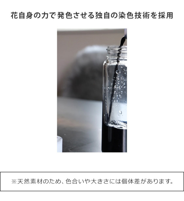 GRACE Dry Flowers クラッシュフラワー 全色セット