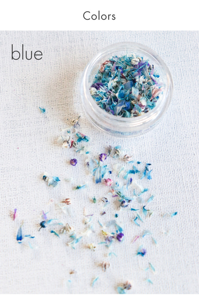 GRACE Dry Flowers クラッシュフラワー 全色セット