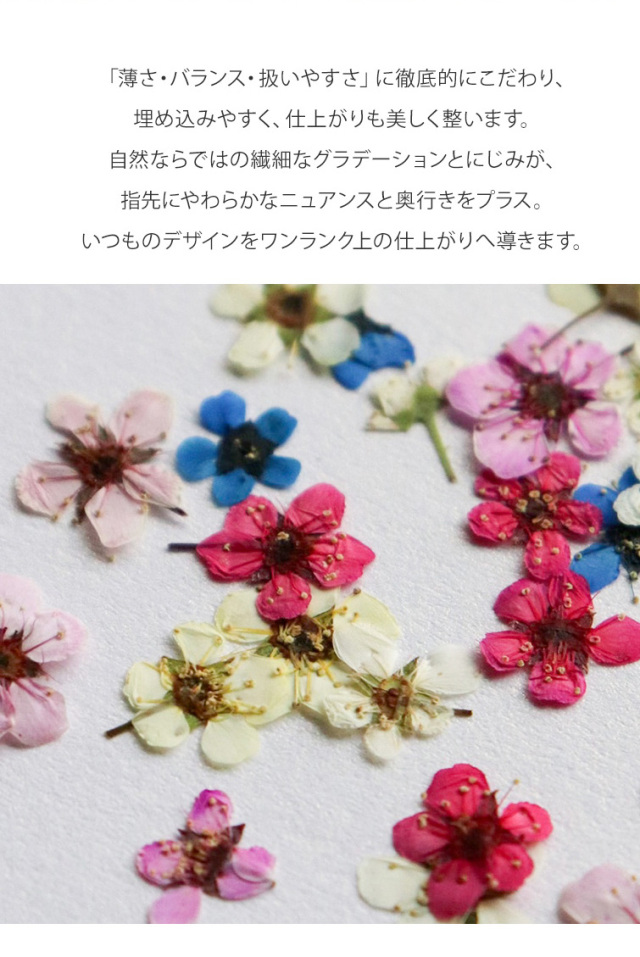 GRACE Dry Flowers コデマリ