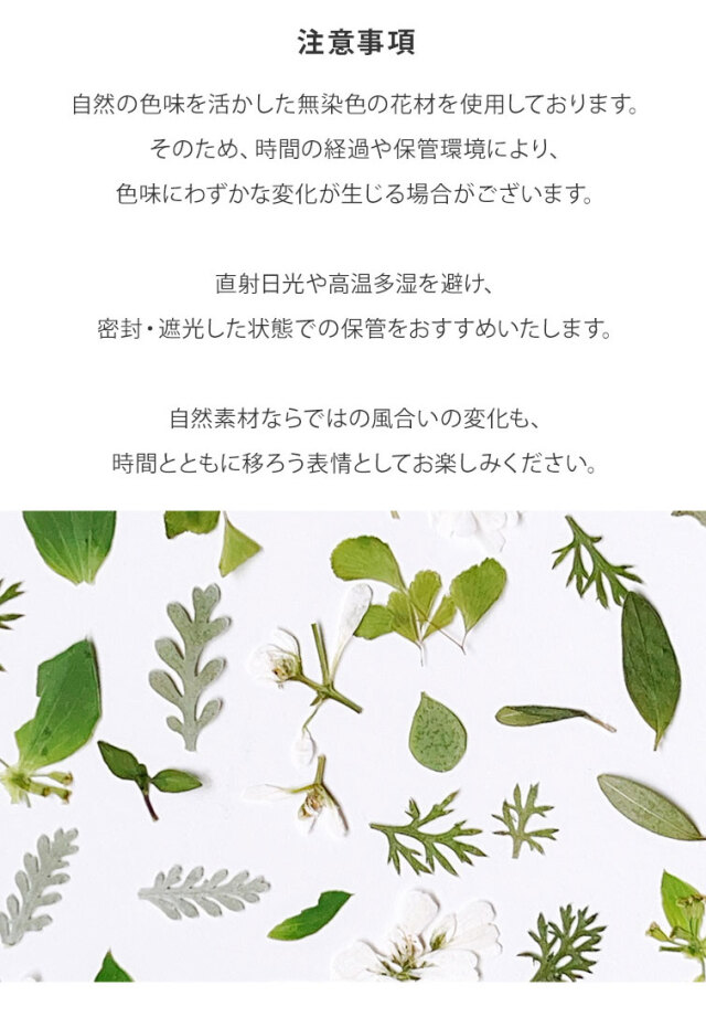 ネイルパーツ 天然素材 ボタニカルネイル ドライフラワーネイル GRACE