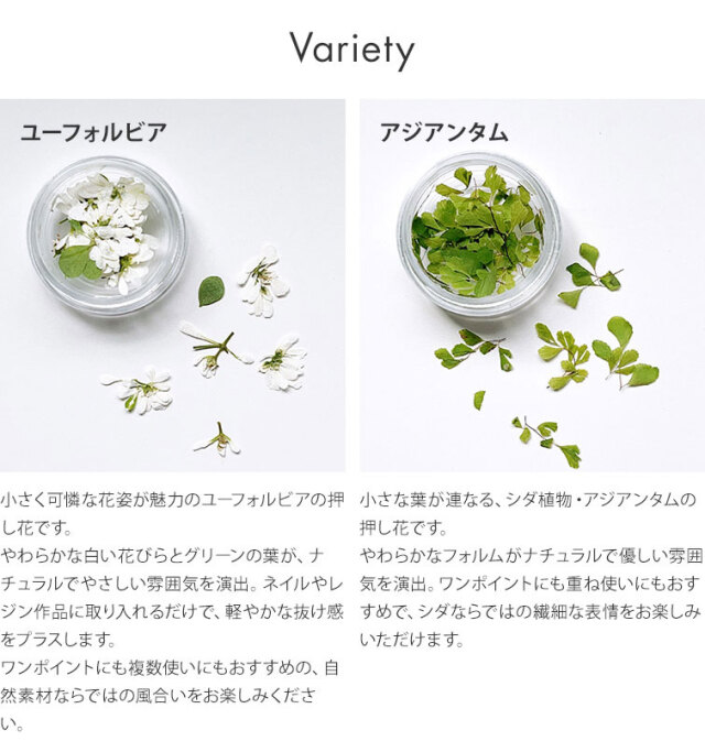 ネイルパーツ 天然素材 ボタニカルネイル ドライフラワーネイル GRACE