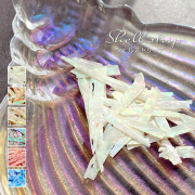 【ゆうパケット対象商品】　ニュアンスネイル　シェル　貝　シェルネイル　シェルアート　ネイルパーツ　天然貝　天然シェル　シェルストリップ　1～6