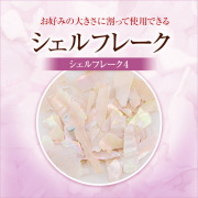 【ゆうパケット対象商品】お好みの大きさに割って使用できるシェルアートの新必須アイテム！約３ｇ入り　シェルフレーク4