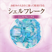 【ゆうパケット対象商品】お好みの大きさに割って使用できるシェルアートの新必須アイテム！約３ｇ入り　シェルフレーク5