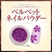 【在庫限り】【ゆうパケット対象商品】ふわふわもこもこでかわいい指先に！ベルベットネイルパウダー（透明ケース入り）パープル