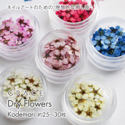 唯一無二の染色技術 押し花ネイル 押し花ネイルアート ドライフラワーネイル GRACE Dry Flowers コデマリ