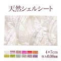 【ゆうパケット対象商品】薄くて好きな形に割って使える！裏がシールになっていて使いやすい天然貝のシェルシート！