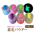 ●ゆうパケット不可●！暗闇で光るジェルネイル！畜光パウダー10g