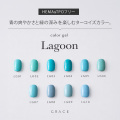 HEMA&amp;TPOフリー 目を惹く鮮やかなターコイズカラー カラージェル GRACE Color Gel Lagoon Series 全色セット[会員割引対象]