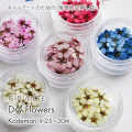 唯一無二の染色技術 押し花ネイル 押し花ネイルアート ドライフラワーネイル GRACE Dry Flowers コデマリ