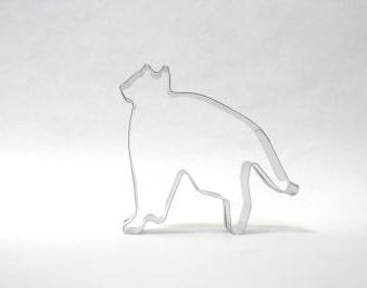 クッキー抜き猫