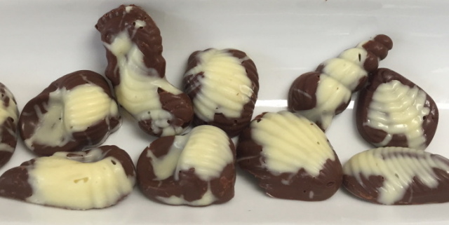 チョコレート型,Chocolate mold,ChocolateWorld貝型shell 8種22取