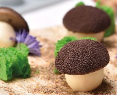 シリコン製ケーキ型 Mushroom マッシュルーム きのこ 直径2.8cm