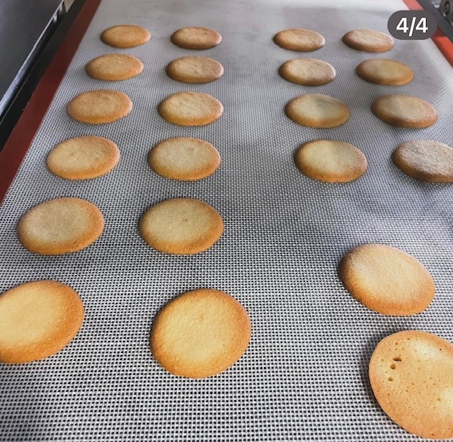 マトファー チョコレート スクリーン 生地(チュイール・シャブロン