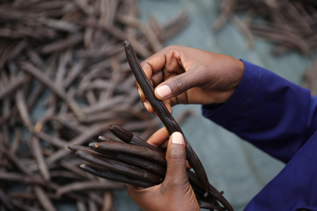 ブルボンバニラビーンズ