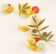 silikomart シリコマート(470×270シリーズ)【ULIVO ウリ―ヴォ】(オリーブ,オリーブの木,木,葉っぱ,2種類,97×73.5mm,48.5×34mm)すり込み型