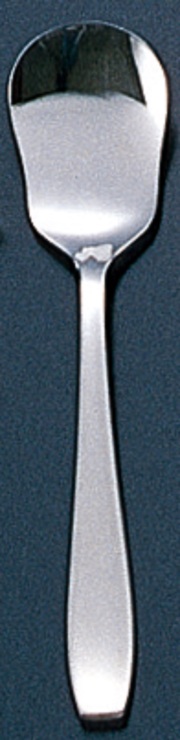 veil