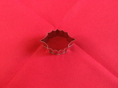 sw007.JPG