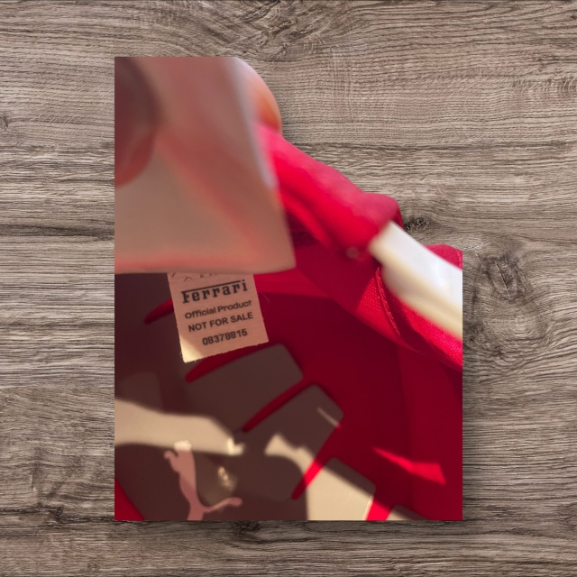 2025 L.ハミルトン＆C.ルクレール直筆Wサイン入 フェラーリ F1 ゲスト