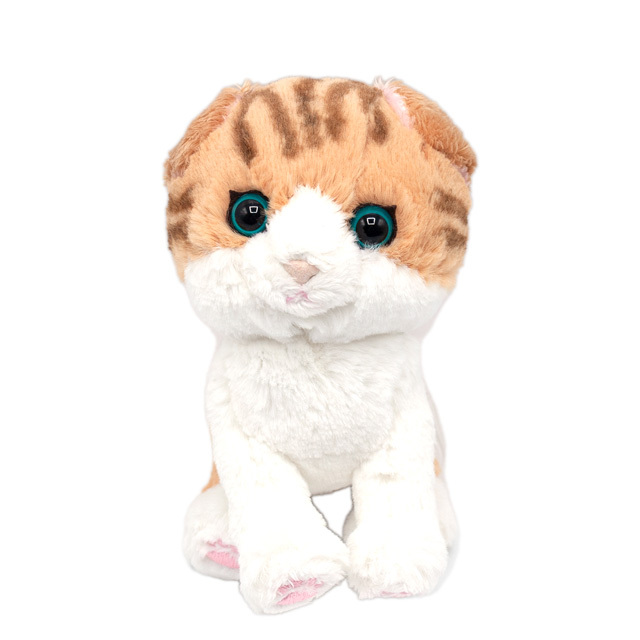 サンレモン ぬいぐるみ キトンシリーズ ねこ スコティッシュフォールド