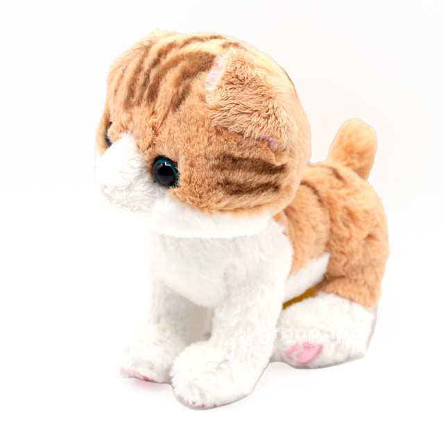 サンレモン ぬいぐるみ キトンシリーズ ねこ スコティッシュフォールド