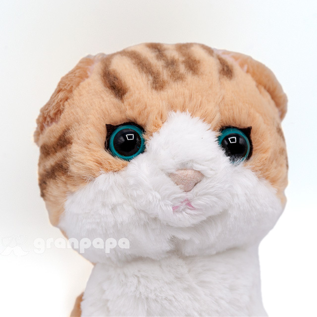 サンレモン ぬいぐるみ キトンシリーズ ねこ スコティッシュフォールド