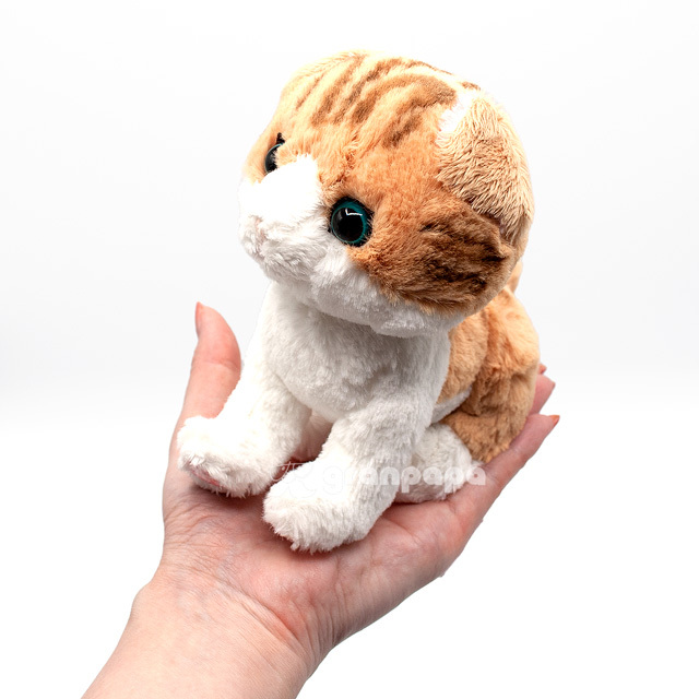 サンレモン ぬいぐるみ キトンシリーズ ねこ スコティッシュフォールド