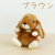 スターチャイルド ロップイヤー ブラウン メイン
