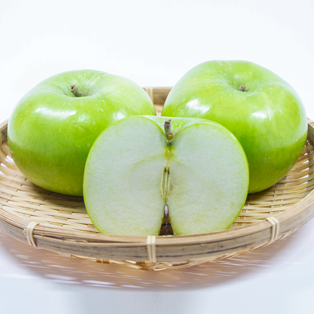 りんご 苗木 【クッキングアップル ブラムリー】 3年生 接ぎ木 大苗