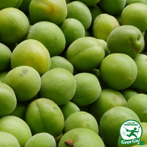 甲州小梅こうしゅうこうめ