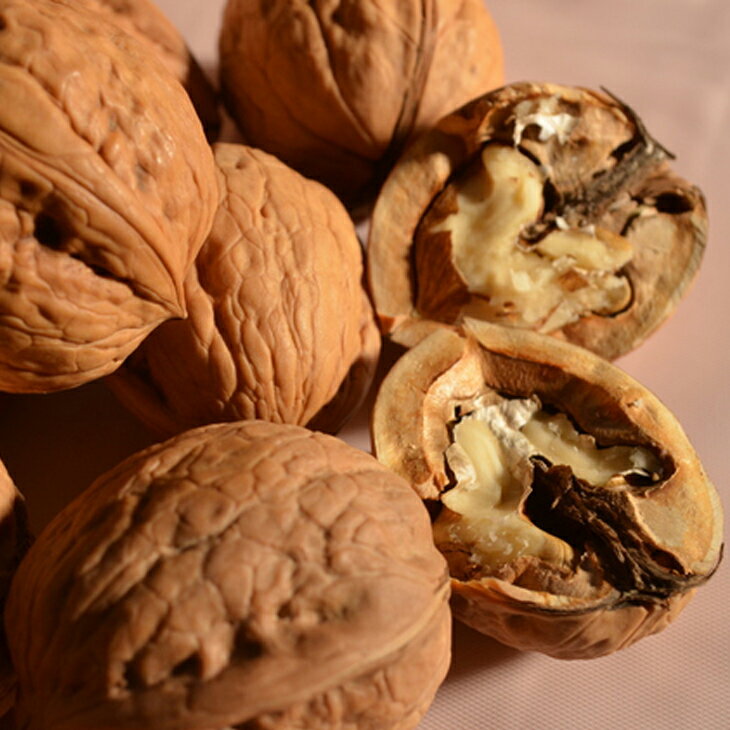 菓子クルミの 成木 くるみ 苗木 【菓子クルミ】 3年生 約1.1m 大苗