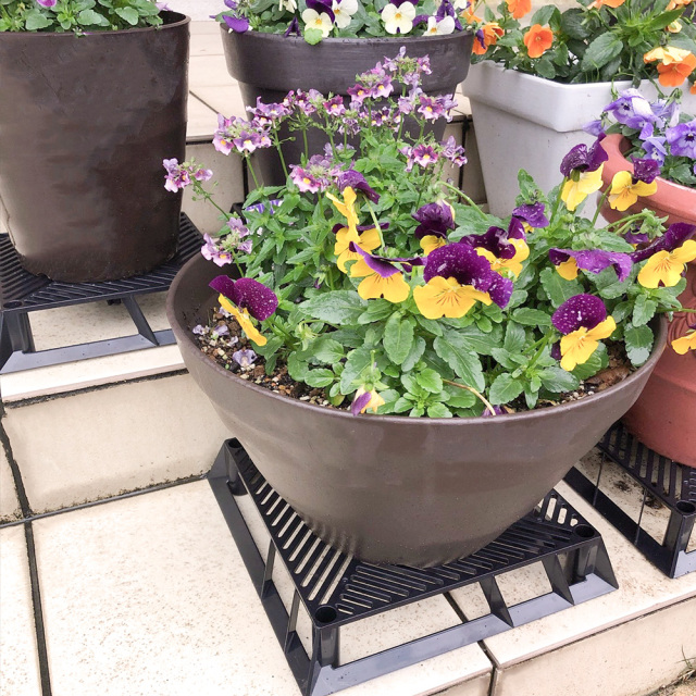 ブラックベース