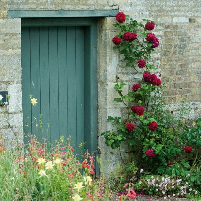 テスオブザダーバービルズ 非常に返り咲く