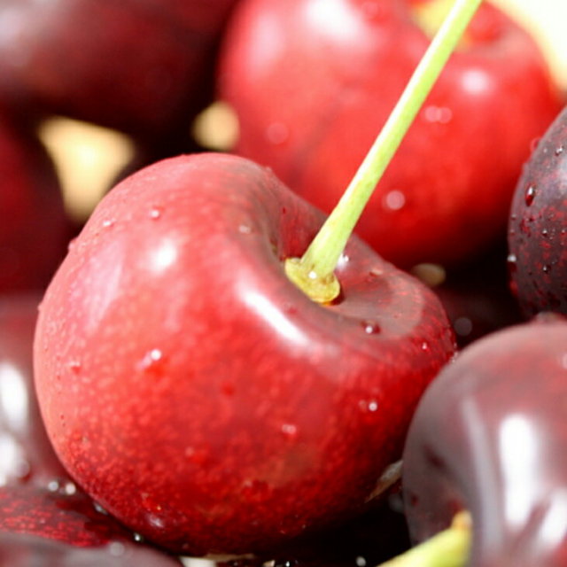 アメリカンチェリー ハリウッド