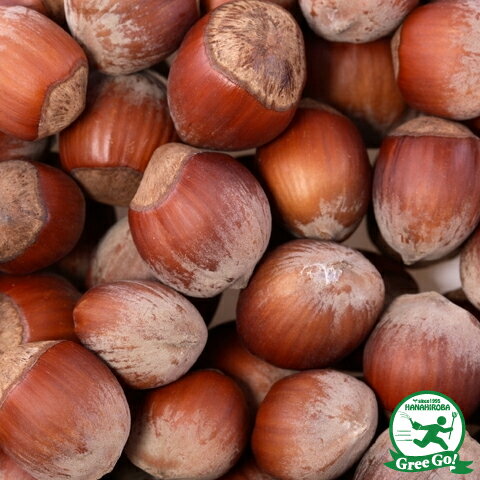 アレアルフォルサ