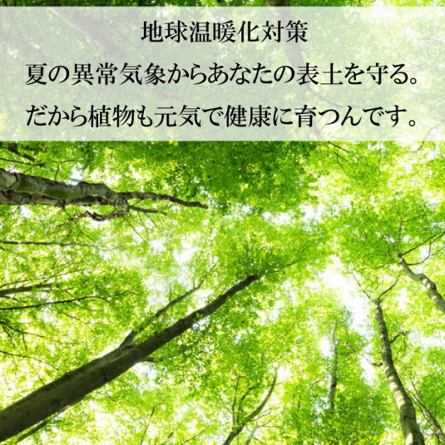 自然界から学ぶ山の知恵 マルチングに最適な ココチップ