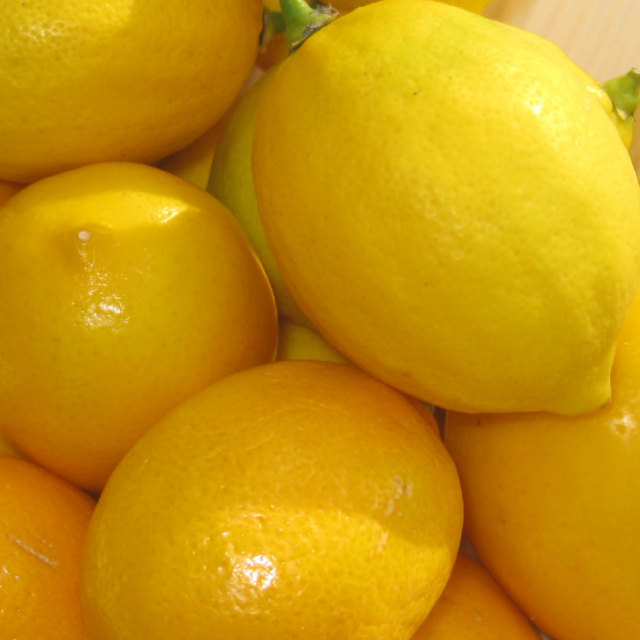 トゲなし ビアフランカ レモン