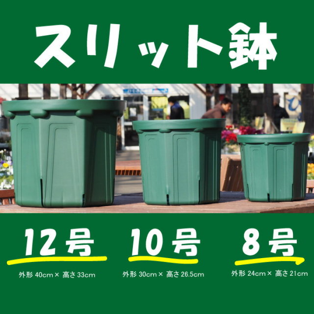 スリット鉢 10号 モスグリーン色