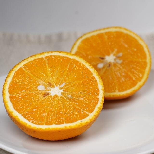 みかん 苗木 【スイートスプリング】 3年生 接ぎ木 約1.0m 大苗