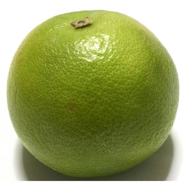 スィーティー苗木　10鉢 284 KANEYA スリット鉢 WD-105L ブラック 10個セット φ10.5×H9.6cm 0.5L