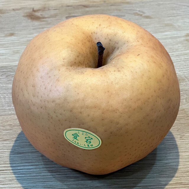 ■優良2年生大苗■ 梨 苗木 【 ジャンボ愛宕 （あたご）】 2年生大苗 接ぎ木