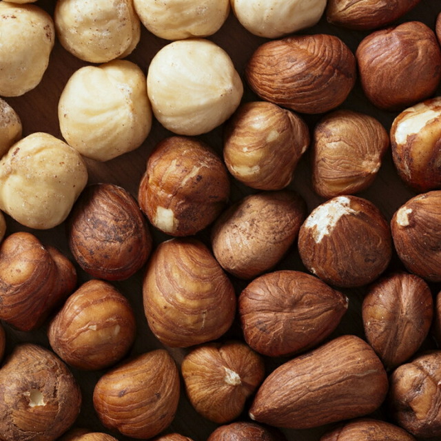 ■優良2年生大苗■ ヘーゼルナッツ 苗 【コスフォード】 2年生大苗