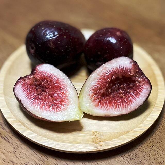 イチジク 苗木の専門店 【グリーンでGO！】