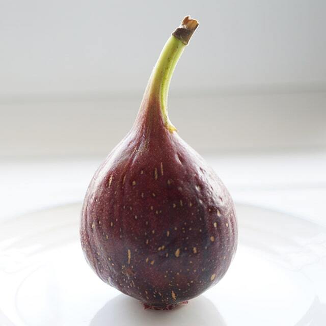 ■優良2年生大苗■ イチジク 苗 【セレストブルー】 2年生 挿し木 ポット苗