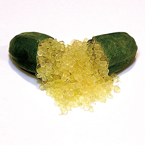 フレバリーグリーン