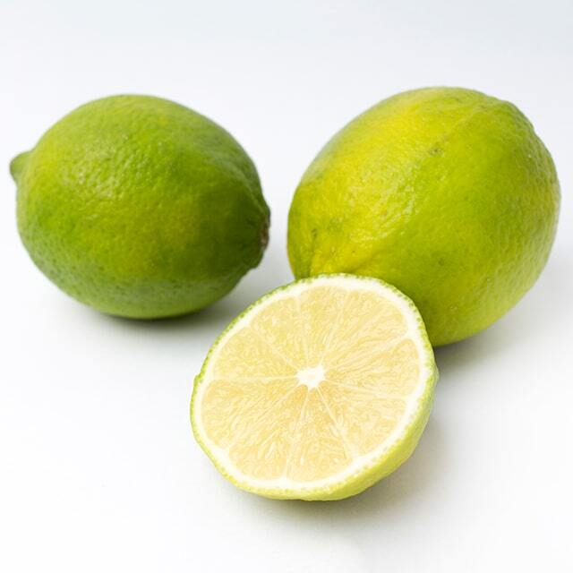 レモン大苗木 レモン 苗木 【瀬戸内レモン】 3年生 接ぎ木 約1.0m 大苗 : 苗木の専門