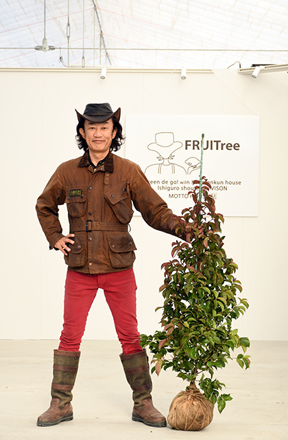 ヤマボウシ 苗 【常緑ヤマボウシ ウィンターレッドペイジ ［登録品種］】 根巻き苗