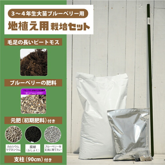 植え付け 簡単 栽培セット 【地植え用（ブルーベリー3～4年生大苗用）】 栽培セット （ピートモス・元肥・肥料・支柱付き）